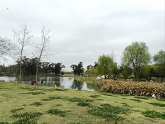 -两河城市森林公园