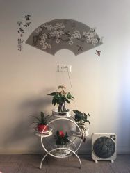点击看大图 -玲珑秀身坊