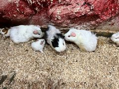 -上海大自然野生昆虫馆