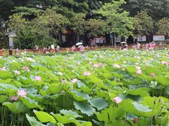 -荔湾湖公园