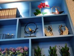 -野妹经典火锅(民治店)