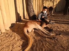 -鄂尔多斯野生动物园