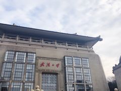 -武汉大学-樱园