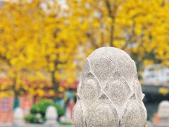 -光孝寺
