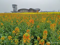 -中国天府农业博览园