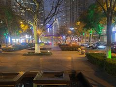 -中央公园(苏州工业园区)
