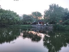 -西溪国家湿地公园