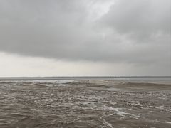 -观潮胜地公园