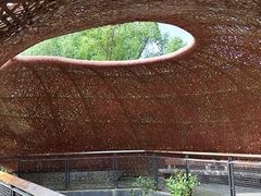 -东寨港红树林旅游区