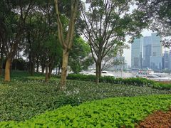 -北外滩滨江绿地