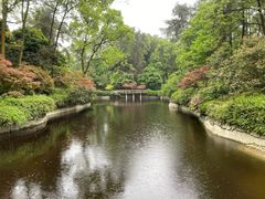 -南山植物园
