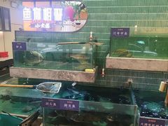 -鱼你相聚·河鲜馆(袁家岭店)