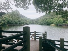 -白马涧龙池景区