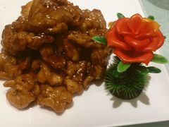 -四季春