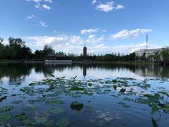 -西海子公园