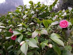 -湖南省立第一师范学校旧址