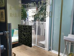 -东方名猫馆·英短金渐层布偶猫舍(环线广场1号楼店)