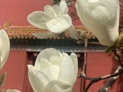 -北京市劳动人民文化宫(太庙)
