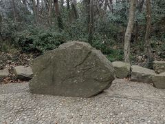 -上海佘山国家森林公园天马山园