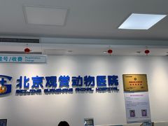 -北京观赏动物医院·24小时大型综合·猫专科·异宠专科