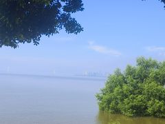 -深圳湾公园(南山区)
