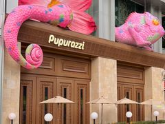 -帕帕拉兹宠物(亚洲旗舰店)