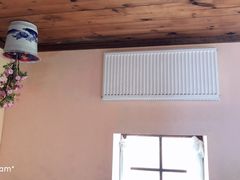 -金山农民画村-枫泾波兰倒置屋