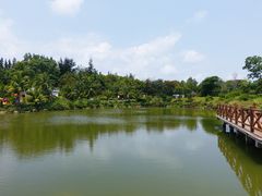 -沙美村
