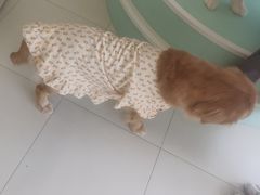 -怪兽屋·羊驼·猫咖·狗咖(俊华广场店)