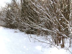 -汉长安城未央宫国家考古遗址公园