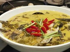 酸汤黄腊丁-丽晶轩中餐厅(重庆丽晶酒店)