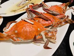 清蒸梭子蟹-高佳庄·海鲜酒楼(东港店)