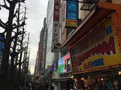 -秋叶原电器街