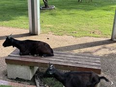 -东南花都花博园