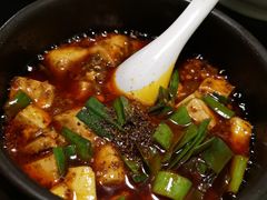 -陈麻婆豆腐总店