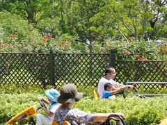 -季高兔窝窝亲子园(上海薰衣草公园店)