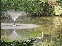 -广州兰圃