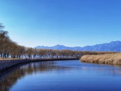-野鸭湖国家湿地公园