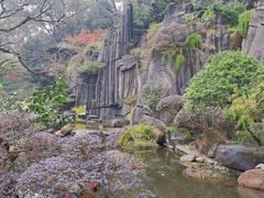 -南山植物园