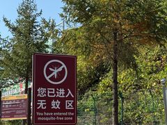 -丹东天桥沟景区