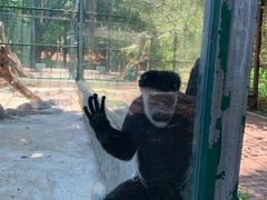 -泉州海丝野生动物世界