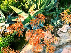 -国家植物园南园