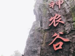 -炎陵县神农谷国家森林公园