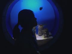 -左海海底世界