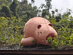 -呀诺达热带雨林