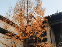 -惠山古镇·寄畅园