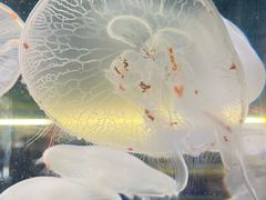 -横店影视城梦幻谷园区