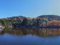 -庐山风景区花径公园