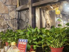 -柿子树炭烤羊腿(金台路店)