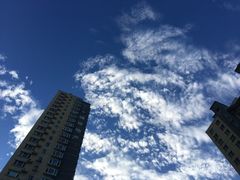 -二红烧烤排骨串(麦岛店)